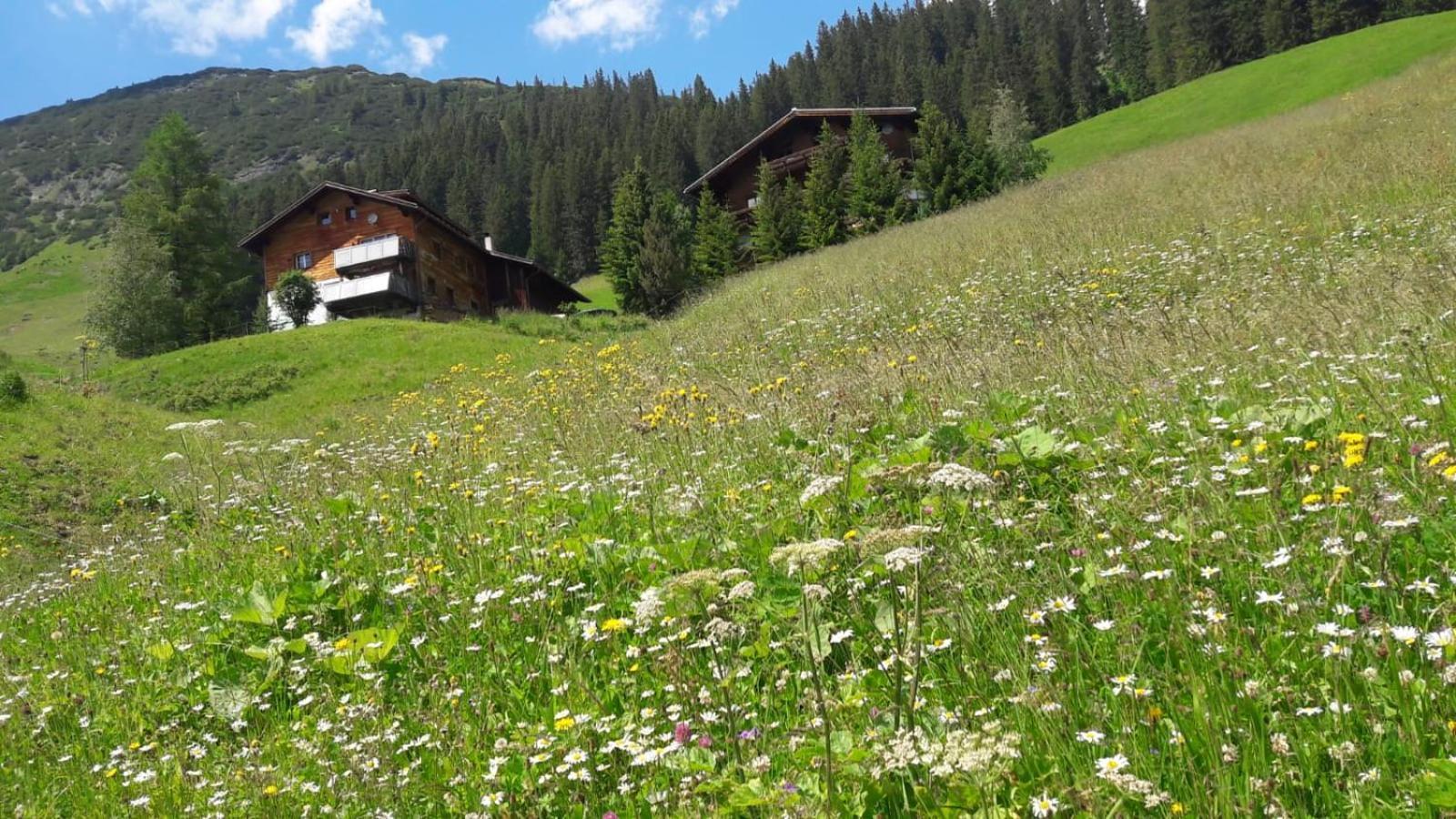 Haus Sonnenschein Warth (Vorarlberg) Exterior foto